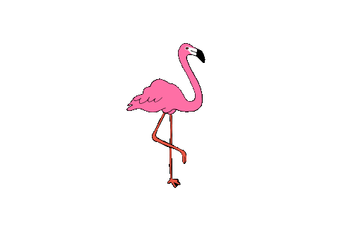 Icon Top