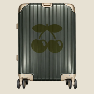 Pacha aluminum suitcase