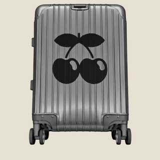 Pacha aluminum suitcase