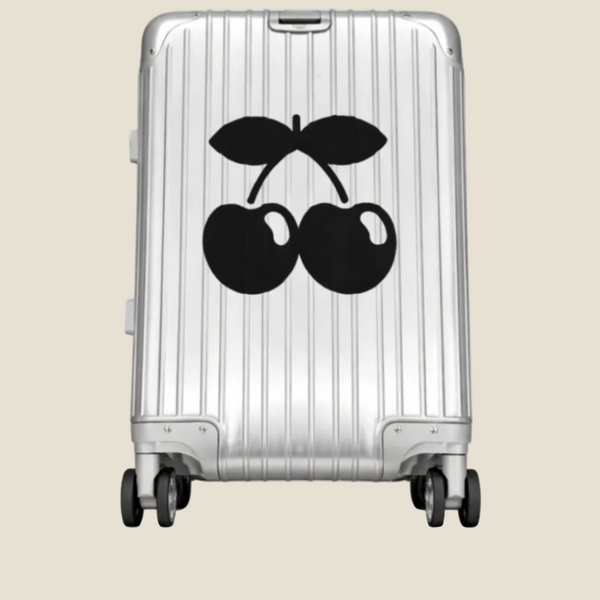 Pacha aluminum suitcase