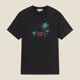 Palm Classics