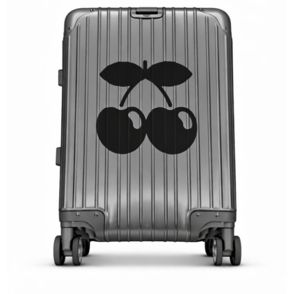 Pacha aluminum suitcase