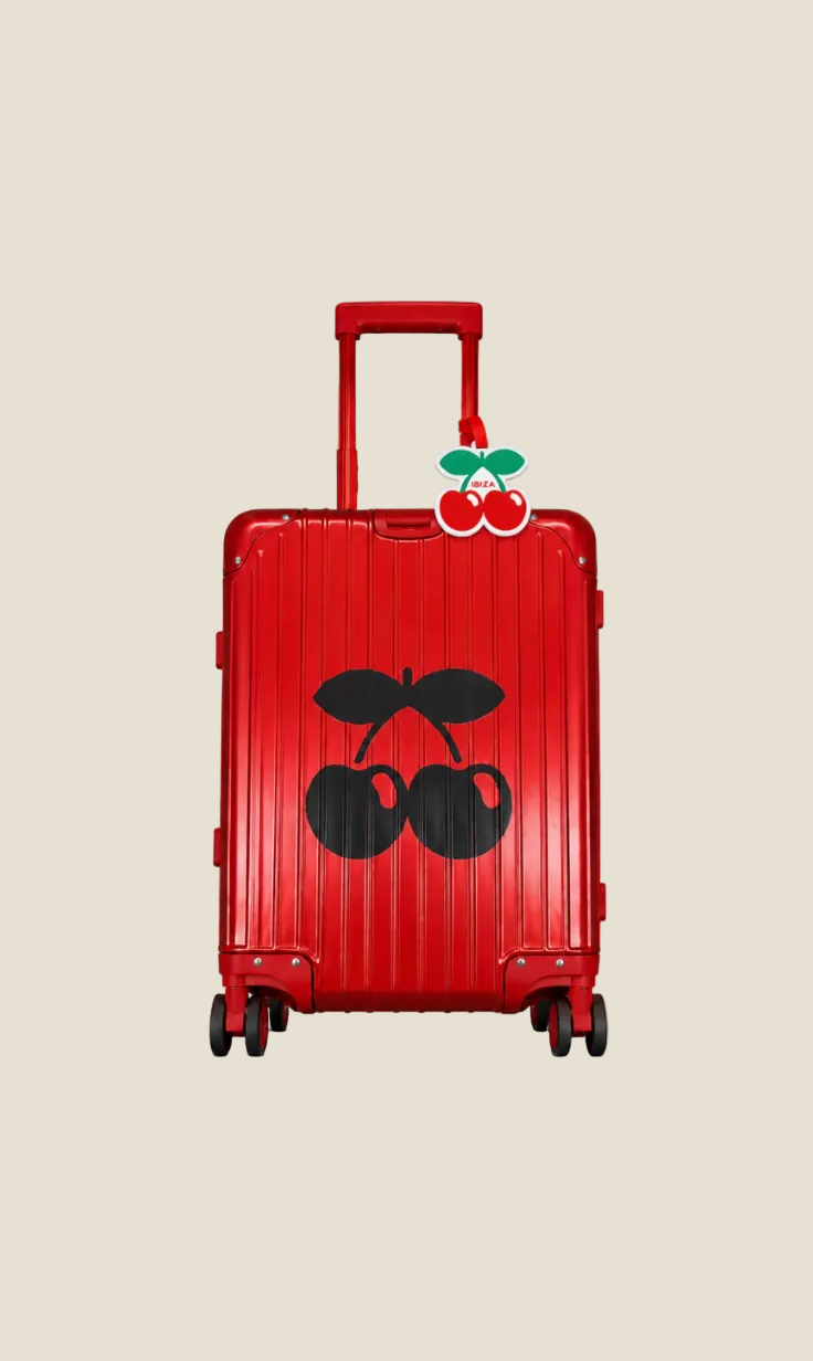 Suitcase Identifier