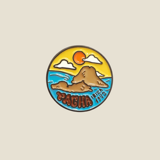 PIN ES VEDRÁ