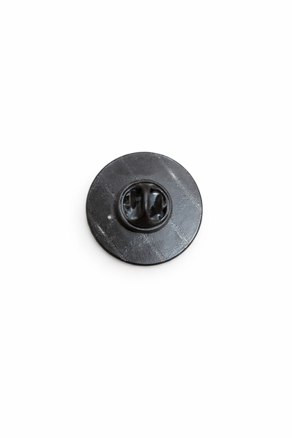 PIN ES VEDRÁ